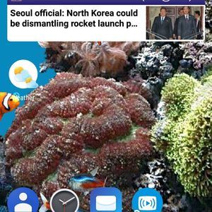 Meet your Posher, Wakisha